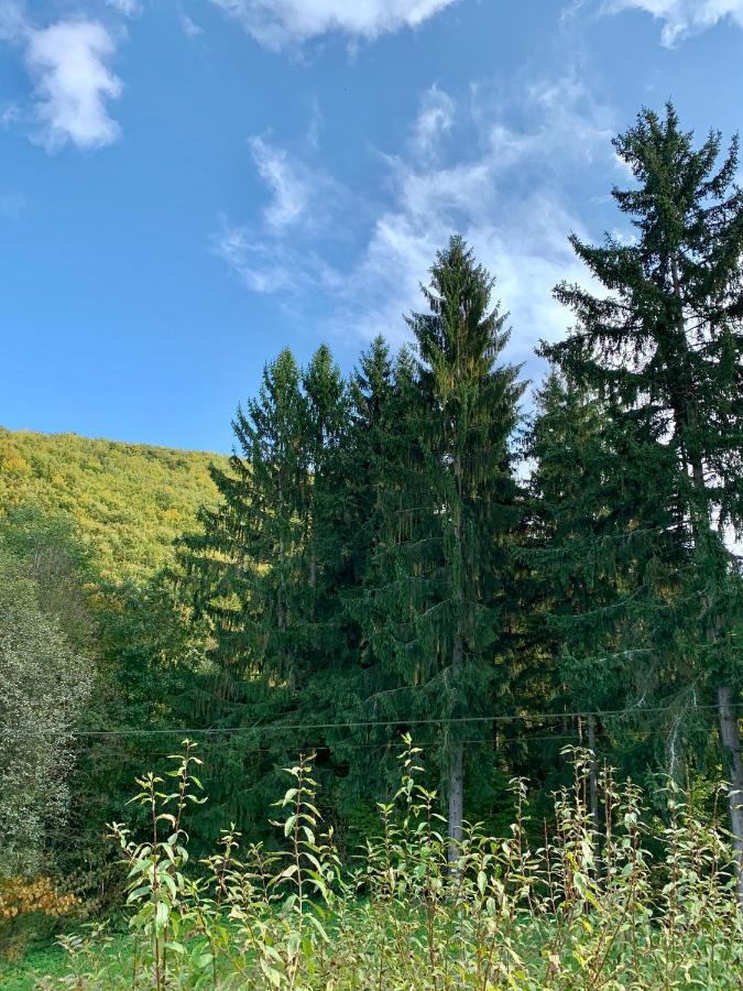 Grand Spa Holiday Home II Sklené Teplice 외부 사진